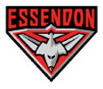 Go to the official Essendon site